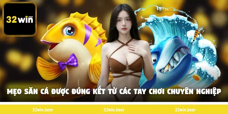Mẹo săn cá được đúng kết từ các tay chơi chuyên nghiệp