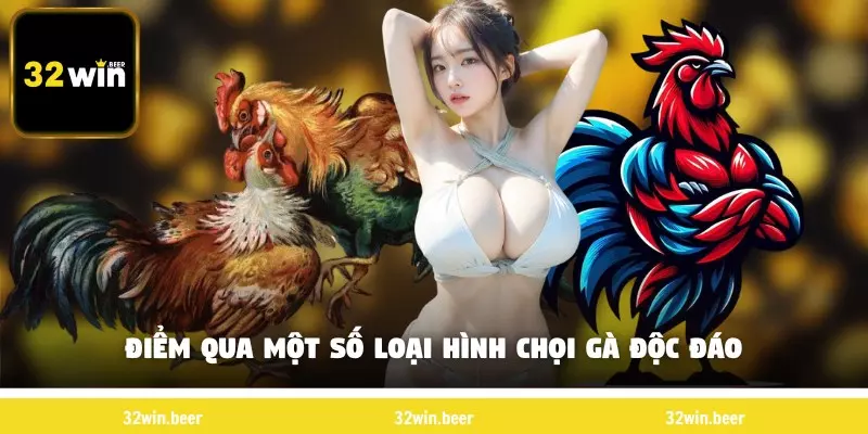 Điểm qua một số loại hình chọi gà độc đáo
