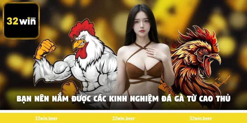 Bạn nên nắm được các kinh nghiệm đá gà từ cao thủ